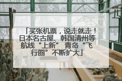 买张机票，说走就走！日本名古屋、韩国清州等航线“上新” 青岛“飞行圈”不断扩大