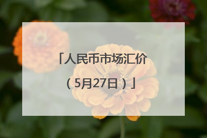 人民币市场汇价（5月27日）