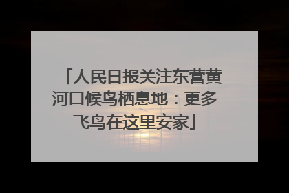 人民日报关注东营黄河口候鸟栖息地：更多飞鸟在这里安家
