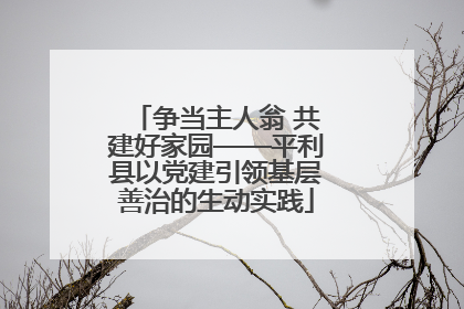 争当主人翁 共建好家园——平利县以党建引领基层善治的生动实践