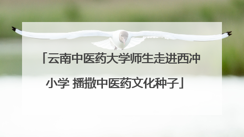 云南中医药大学师生走进西冲小学 播撒中医药文化种子