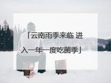 云南雨季来临 进入一年一度吃菌季