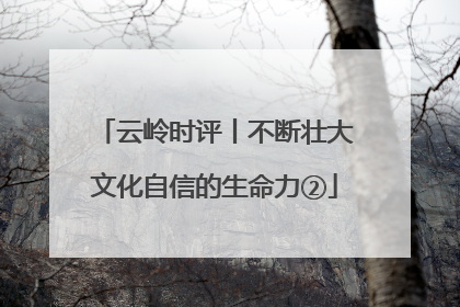 云岭时评丨不断壮大文化自信的生命力②