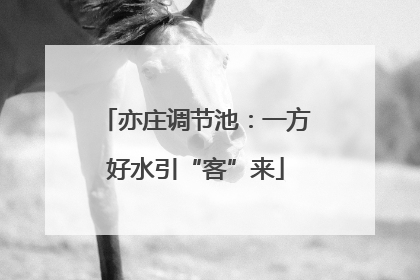 亦庄调节池：一方好水引“客”来