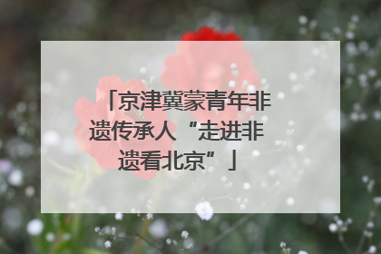 京津冀蒙青年非遗传承人“走进非遗看北京”