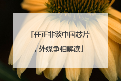 任正非谈中国芯片，外媒争相解读