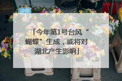 今年第1号台风“蝴蝶”生成，或将对湖北产生影响