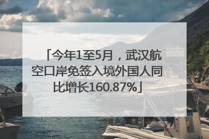 今年1至5月，武汉航空口岸免签入境外国人同比增长160.87%