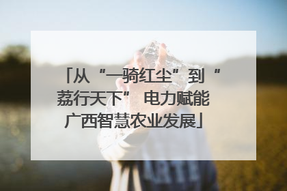 从“一骑红尘”到“荔行天下” 电力赋能广西智慧农业发展