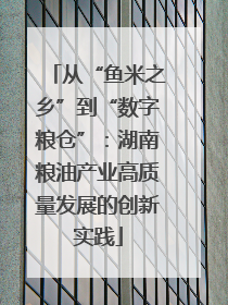从“鱼米之乡”到“数字粮仓”：湖南粮油产业高质量发展的创新实践