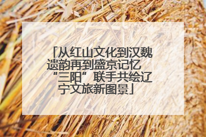 从红山文化到汉魏遗韵再到盛京记忆 “三阳”联手共绘辽宁文旅新图景