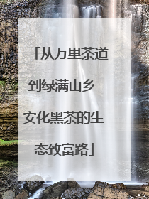 从万里茶道到绿满山乡 安化黑茶的生态致富路