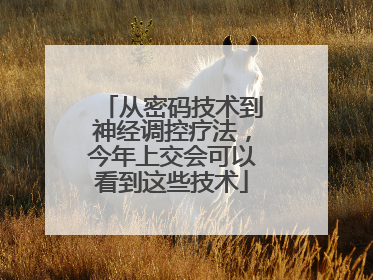 从密码技术到神经调控疗法，今年上交会可以看到这些技术