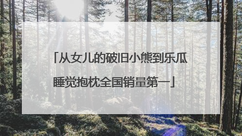 从女儿的破旧小熊到乐瓜睡觉抱枕全国销量第一