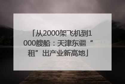 从2000架飞机到1000艘船：天津东疆“租”出产业新高地