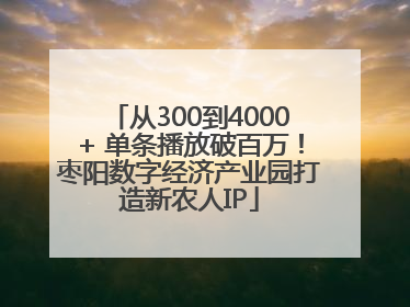 从300到4000+ 单条播放破百万！枣阳数字经济产业园打造新农人IP