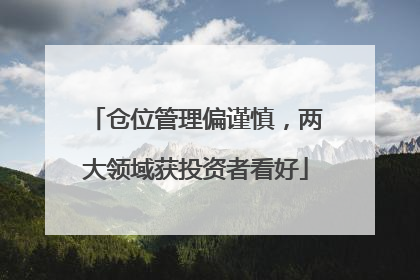 仓位管理偏谨慎，两大领域获投资者看好