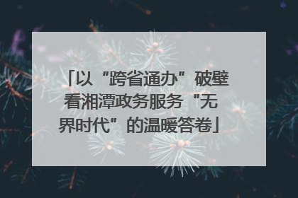 以“跨省通办”破壁 看湘潭政务服务“无界时代”的温暖答卷