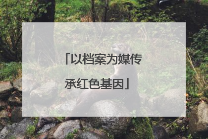 以档案为媒传承红色基因