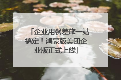 企业用餐差旅一站搞定！鸿蒙版美团企业版正式上线