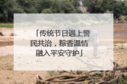 传统节日遇上警民共治，粽香温情融入平安守护