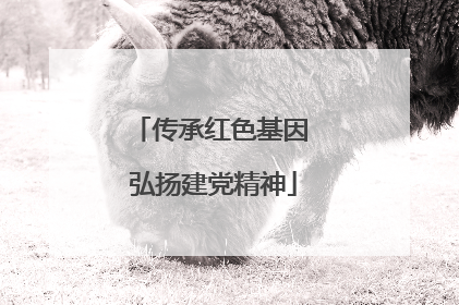 传承红色基因 弘扬建党精神