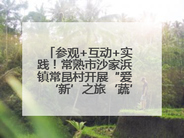 参观+互动+实践！常熟市沙家浜镇常昆村开展“爱‘新’之旅‘蔬’适生活”参观学习活动