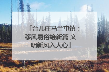 台儿庄马兰屯镇：移风易俗绘新篇 文明新风入人心