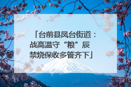 台前县凤台街道：战高温守“粮”辰 禁烧保收多管齐下