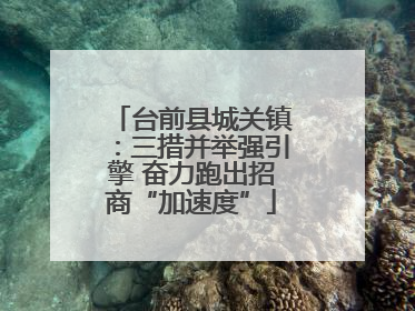 台前县城关镇：三措并举强引擎 奋力跑出招商“加速度”