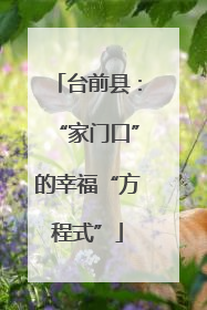 台前县：“家门口”的幸福“方程式”
