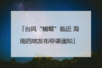 台风“蝴蝶”临近 海南四地发布停课通知
