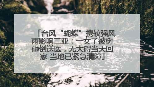 台风“蝴蝶”携较强风雨影响三亚：一女子被树砸倒送医，无大碍当天回家 当地已紧急清障
