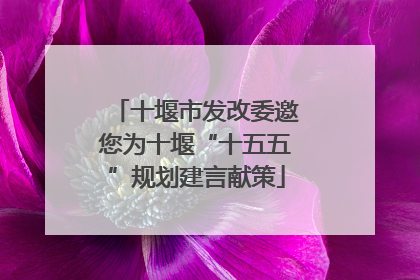 十堰市发改委邀您为十堰“十五五”规划建言献策