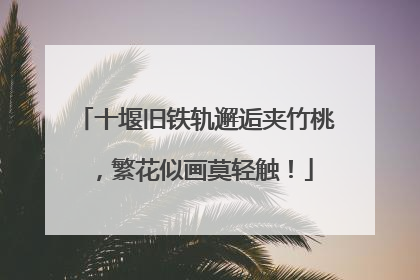十堰旧铁轨邂逅夹竹桃，繁花似画莫轻触！