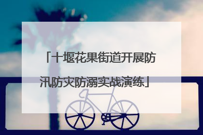 十堰花果街道开展防汛防灾防溺实战演练