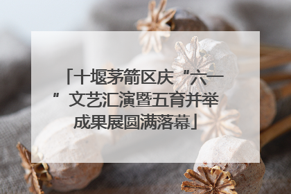 十堰茅箭区庆“六一”文艺汇演暨五育并举成果展圆满落幕