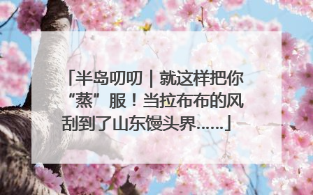半岛叨叨｜就这样把你“蒸”服！当拉布布的风刮到了山东馒头界……