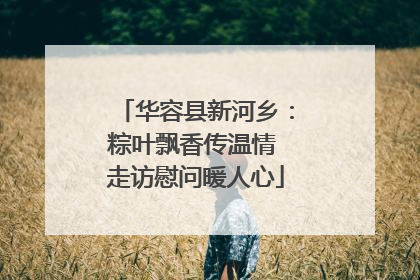 华容县新河乡：粽叶飘香传温情 走访慰问暖人心