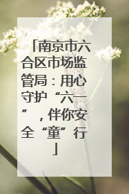 南京市六合区市场监管局：用心守护“六一”，伴你安全“童”行