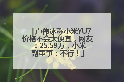 卢伟冰称小米YU7价格不会太便宜，网友：25.59万，小米副董事：不行！