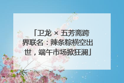 卫龙 × 五芳斋跨界联名：辣条粽横空出世，端午市场掀狂澜