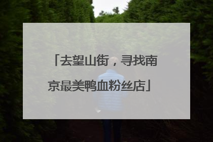 去望山街，寻找南京最美鸭血粉丝店