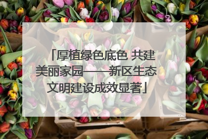 厚植绿色底色 共建美丽家园——新区生态文明建设成效显著