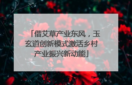 借艾草产业东风，玉玄道创新模式激活乡村产业振兴新动能