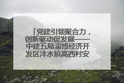 党建引领聚合力，创新驱动促发展——中建五局淄博经济开发区沣水镇高西村安置项目建设纪实