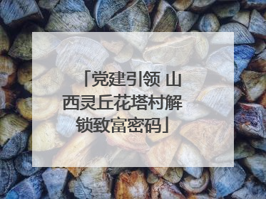 党建引领 山西灵丘花塔村解锁致富密码