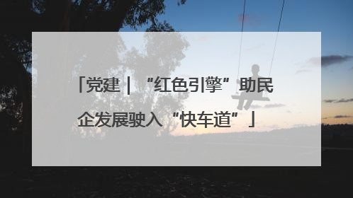 党建｜“红色引擎”助民企发展驶入“快车道”