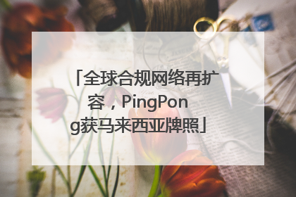 全球合规网络再扩容，PingPong获马来西亚牌照