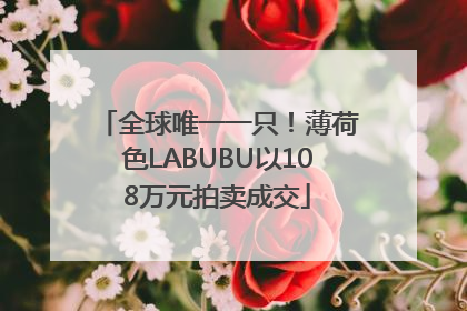 全球唯一一只！薄荷色LABUBU以108万元拍卖成交